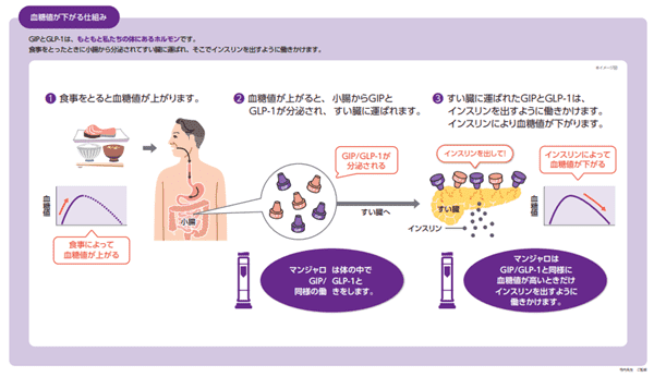 マンジャロはなぜ痩せる？体重が減る仕組みやダイエット効果・危険性をわかりやすく解説 | 【公式】マーチクリニック