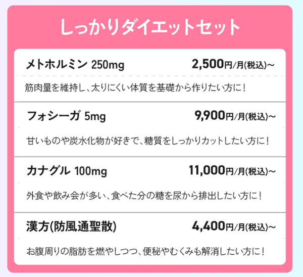FemON（フェムオン）しっかりダイエットセット