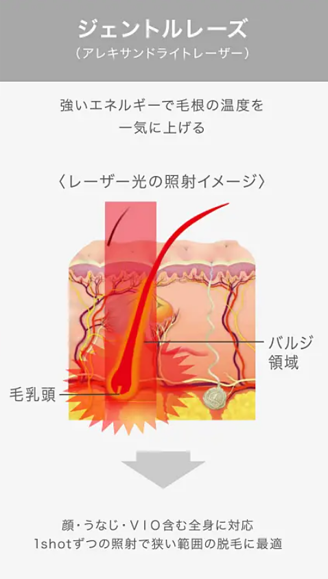 あおばクリニック-脱毛