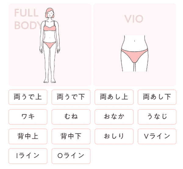 エナミルクリニック-全身VIO-6回-蓄熱式
