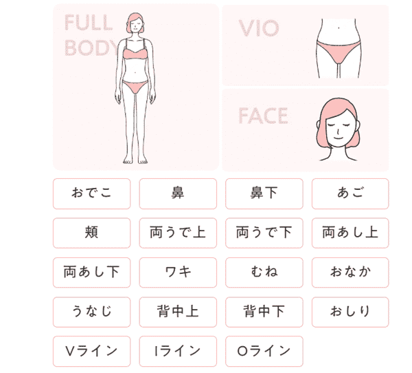 エナミルクリニック-全身VIO顔-6回-蓄熱式