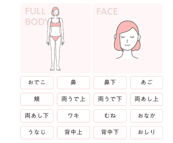 全身+顔 6回 蓄熱式プラン