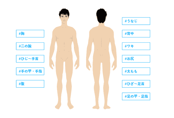 メンズリゼ 全身脱毛