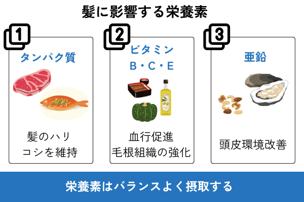 髪に影響する栄養素